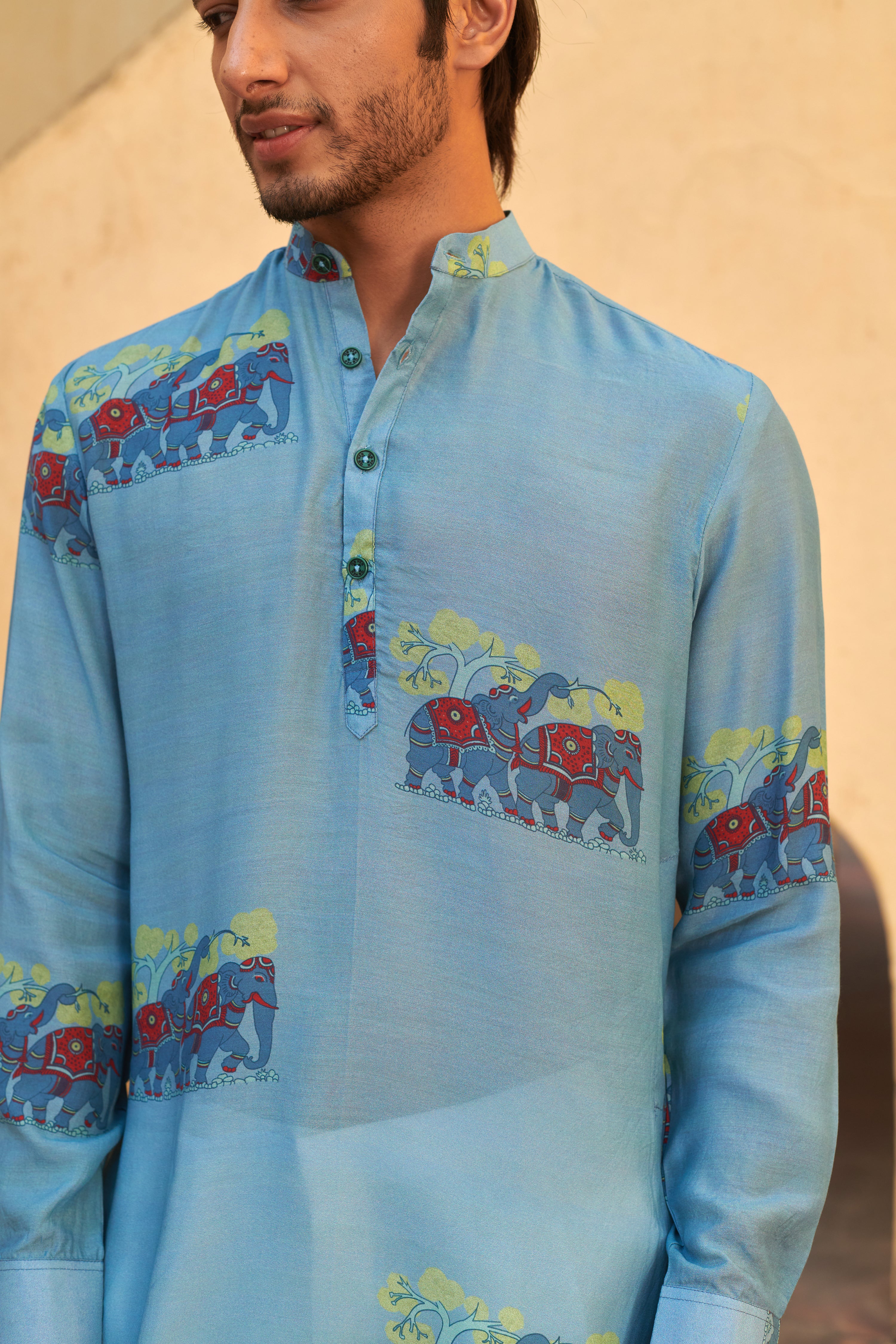 Blue Elephant applique Ganganagery Kurta