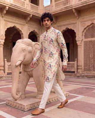 Peacock Jharokha Ganganagery Kurta